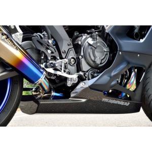 ヤマハ発動機 TT250Rレイド サイドカバー 右 白 ヤマハ 純正 中古