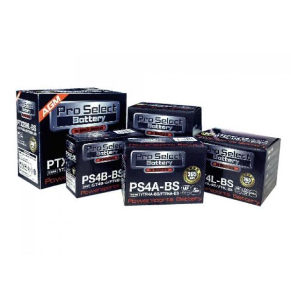 【メーカー直送】Pro Select Battery バッテリー関連パーツ プロセレクトバッテリー ...