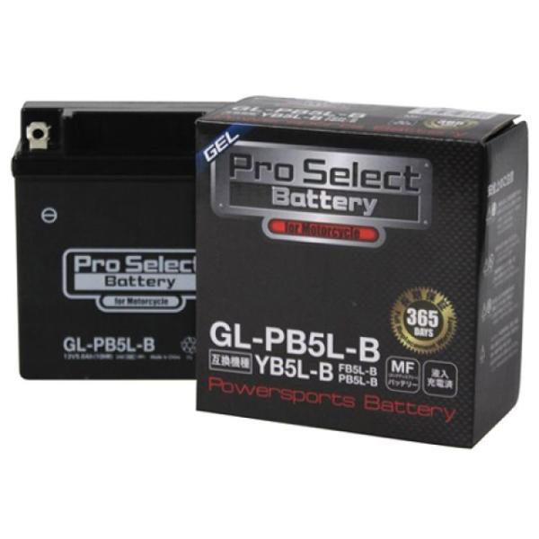 【メーカー直送】Pro Select Battery 汎用 バッテリー関連パーツ プロセレクトバッテ...