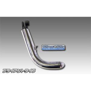 WirusWin（ウイルズウィン） WirusWin TW200 マフラー本体 TW200用
