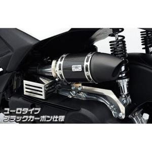 WirusWin シグナスグリファス用　サイレンサー型エアクリーナーKit 682064_1858.jpg