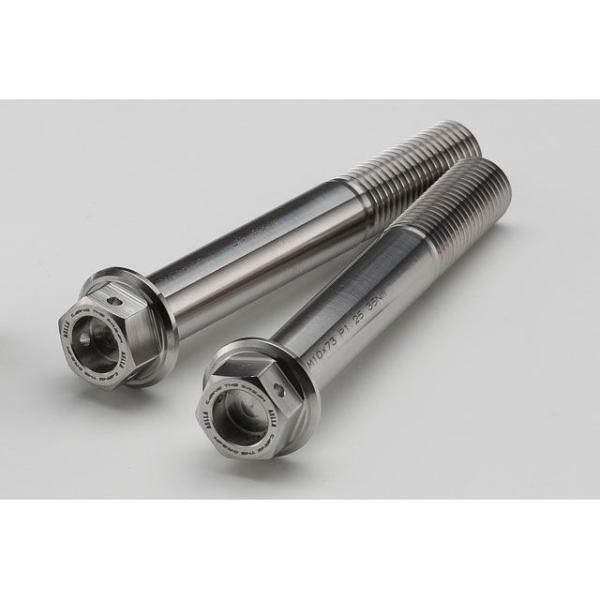 AELLA ZX-25R その他ブレーキ用パーツ チタンキャリパーボルト（M10×L73 P1.25...