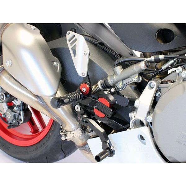 GILLES TOOLING 959 Panigale Panigale V2 バックステップ関連パ...