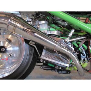 ホンダ（HONDA） 【国内メーカー HMS】 AF58 ズーマー 50 B2X