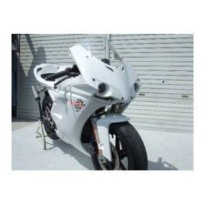才谷屋ファクトリー NSR50 NSR80 1098typeフルカウル/耐久レース2灯/白