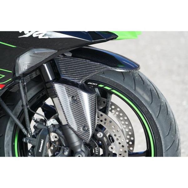 Saitaniya Factory ZX-4R/RR フェンダー フロントフェンダー 仕様 黒ゲル ...