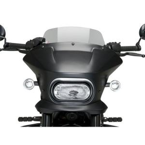 Puig SPORTSTER S RH1250...の詳細画像1
