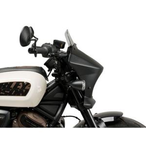 Puig SPORTSTER S RH1250...の詳細画像2
