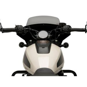Puig SPORTSTER S RH1250...の詳細画像3