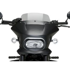 Puig SPORTSTER S RH1250...の詳細画像1