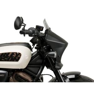 Puig SPORTSTER S RH1250...の詳細画像2
