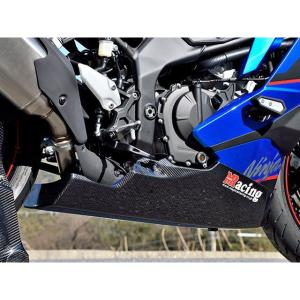 Magical Racing ZX4R/RR/...の詳細画像2