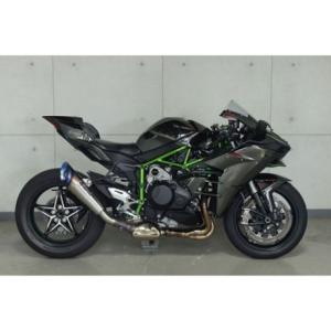 r's gear（アールズギア） r's gear RK38-T3SD Z H2/SE(20-22) リアル
