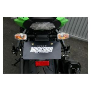 アクティブ ZX-6R(2009〜2018) フェンダーレスキット ブラック [LED