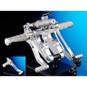 ACTIVE 13691709 アクティブ パフォーマンスダンパー (KAWASAKI