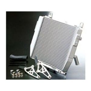 ACTIVE ステーセット ビッグラジエーター T-2 GPZ750R/GPZ900R 5057022
