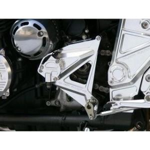 TEASER（ティ―ザ―）[D4C4S]スプロケットカバー【SI】ZEPHYR1100