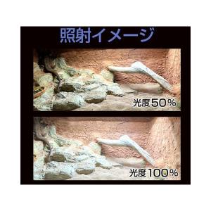 zensui アクアリウム用品 Bar Typ...の詳細画像5