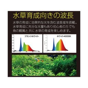 zensui アクアリウム用品 Free Co...の詳細画像3
