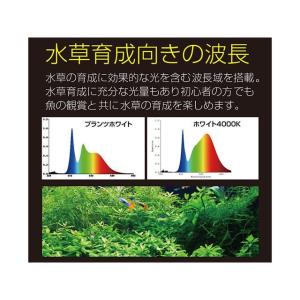 zensui ペット用品 Free Color...の詳細画像3