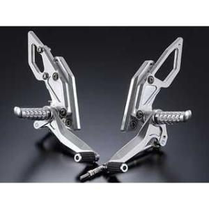 STRIKER（ストライカー） STRIKER ZRX1100/1200/DAEG バックステップ