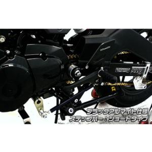 WirusWin グロム/MSX125(2型)...の詳細画像1