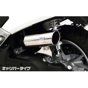 WirusWin（ウイルズウィン） WirusWin FTR223 エアクリーナー FTR