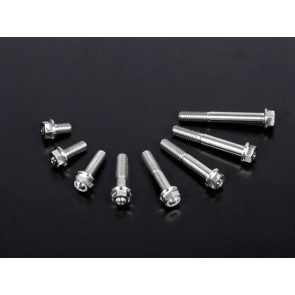 ZETA 汎用 その他外装関連パーツ チタン フランジボルト スタンダード M8 P=1.25（ワイ...