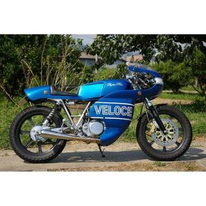 ペイトンプレイス Peyton Place ハーフカウル W400 W650 W800 SR400