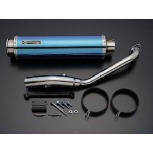 送料無料!!】[XX 59247]スズキ SUZUKI スカイウェイブ250 タイプS
