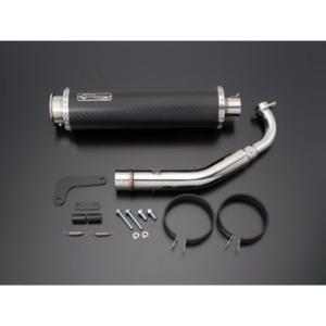 BEAMS（ビームス） マフラー 送料無料 マフラー スカイウェイブ250