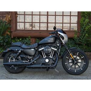 TERADAMOTORS Sportster ...の詳細画像2