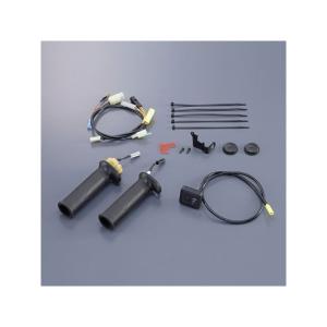 r's gear（アールズギア） R's GEAR ZX-12R マフラー本体 ワイバン