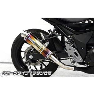 IXIL（イクシル） L3X デュアルタイプ スリップオン マフラー DL 250 V