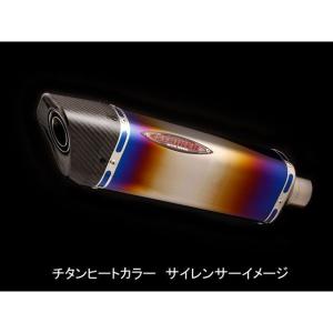 ヨシムラ（YOSHIMURA） カーボンヒートガードSET【オプション】 GSX