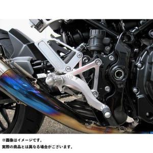 STRIKER（ストライカー） STRIKER Z900RS バックステップ関連パーツ