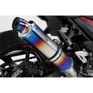 ツルノテクニカルサービス NINJA250 NINJA250R デュアルレーシング