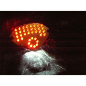 スペシャルパーツ武川 SP TAKEGAWA Z125PRO テール関連パーツ LED
