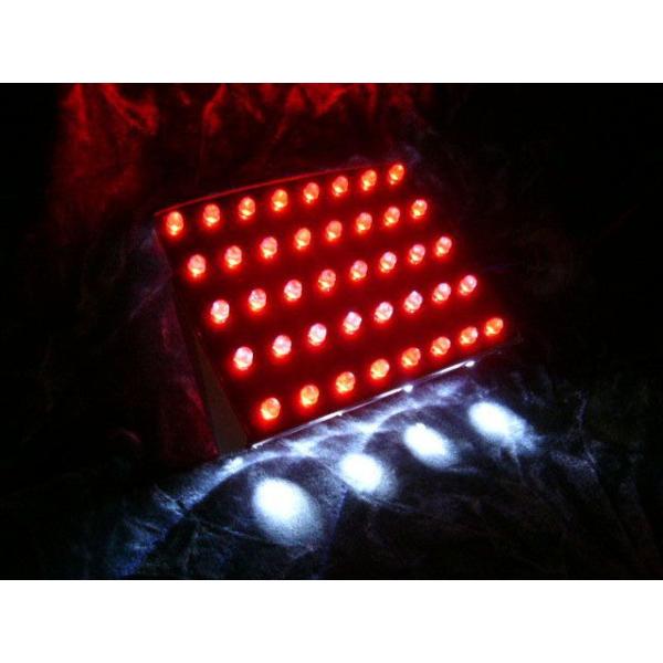 From Neighbor テール関連パーツ ZZ-R1100C/ZX-10/ZX-11用LEDテー...
