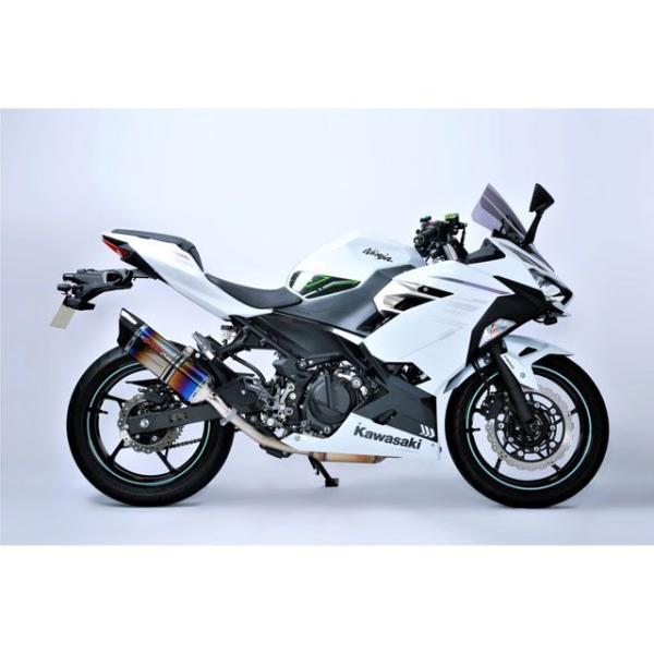 STRIKER NINJA250 NINJA400 マフラー本体 INTER MODEL SC スリ...
