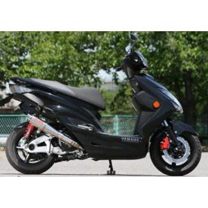 WirusWin（ウイルズウィン） トゥデイ マフラー本体 トゥデイ（AF61/67