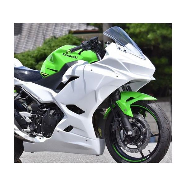 Saitaniya Factory Ninja250 外装セット フルカウル/レース 仕様 白ゲル ...
