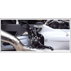 Saitaniya Factory TZR50 フェンダー フロントフェンダー 仕様 白ゲル