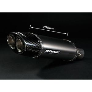 AKRAPOVIC（アクラポビッチ） 直送品 エボリューションライン チタン