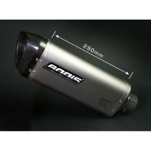 AKRAPOVIC（アクラポビッチ） AKRAPOVIC F 750 GS マフラー本体 Slip
