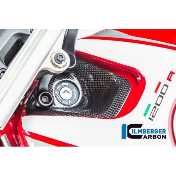 ILMBERGER Monster 1200 R Monster 821 ドレスアップ・カバー イグ...