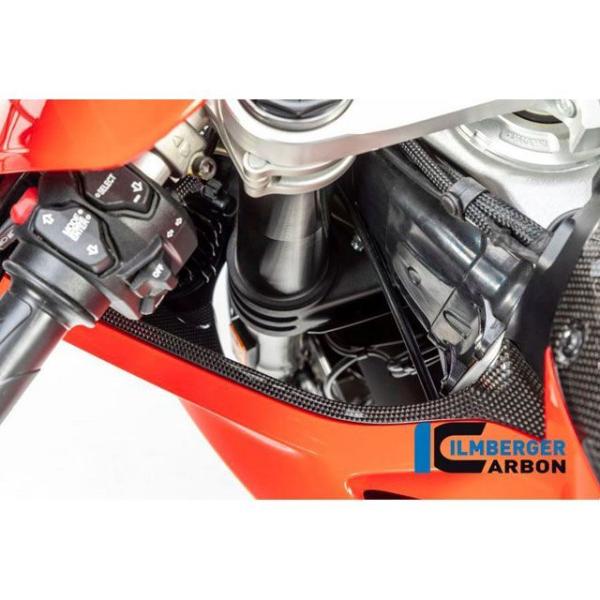 ILMBERGER Panigale V4 Panigale V4 S ドレスアップ・カバー エアチ...