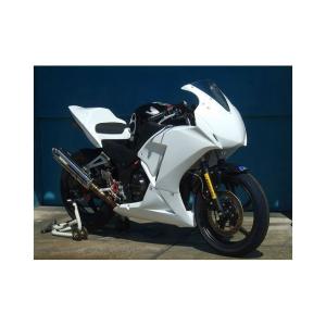 CLEVER WOLF クレバーウルフ フルカウル CBR250R HONDA ホンダ