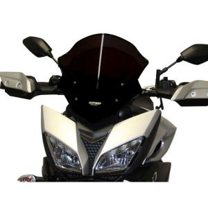 MRA エムアールエー スクリーンスポーツ カラー：スモーク TRACER900