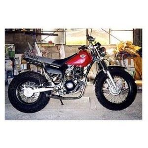 tw200用ウィルズウィンステンレススチールマフラー WirusWin（ウイルズウィン） TW200 TW200用 シャープタイプマフラー